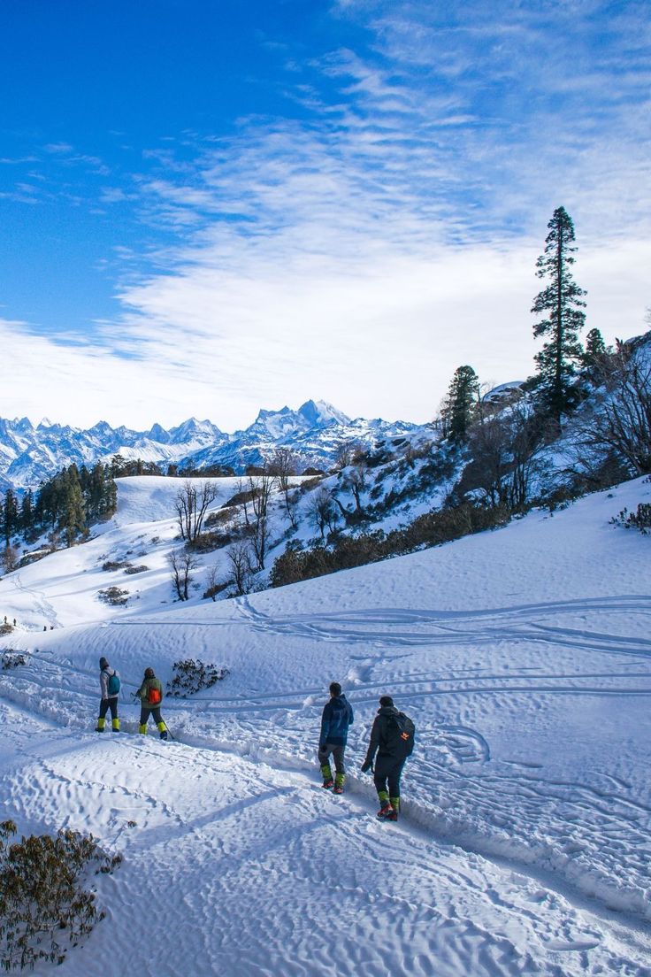 Manali Package